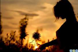 万安侦探公司：婚姻撤销办理程序