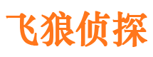 万安市侦探公司